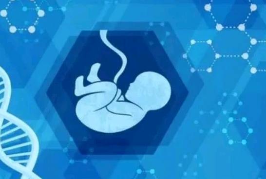 二胎怀女宝宝的方法有哪些？